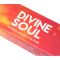 Аромапалички Божественна Душа Нандіта Nandita Devine Soul 15 грам