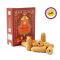 Ароматичні конуси Рідкий дим Кориця Sreevani Back Flow cones Cinnamon 10 шт.
